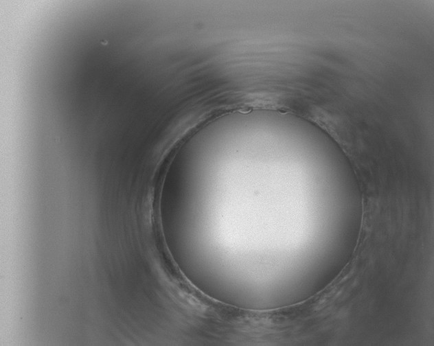 X0000072490194200607290048