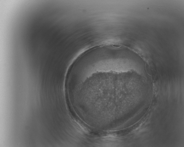 X0000072490196200607290048