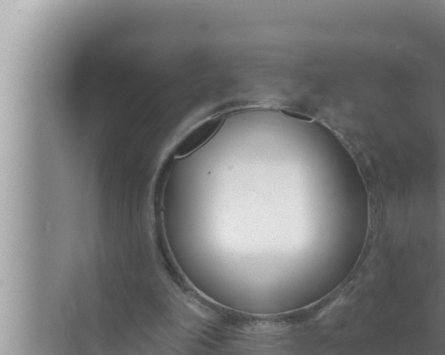 X0000072490198200607290048