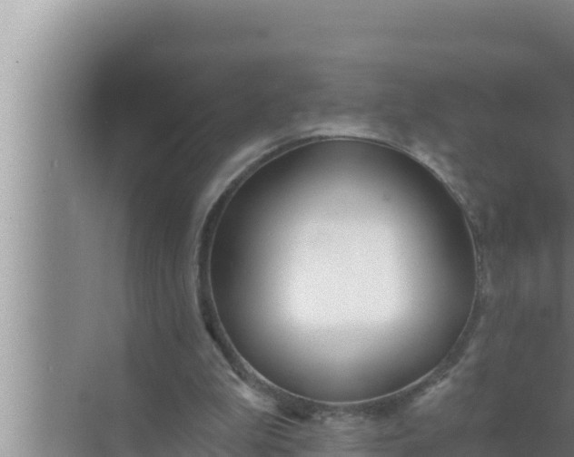 X0000072490199200607290048