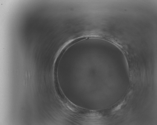 X0000072490200200607290048