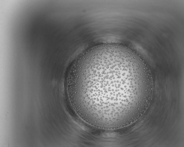 X0000072490202200607290048