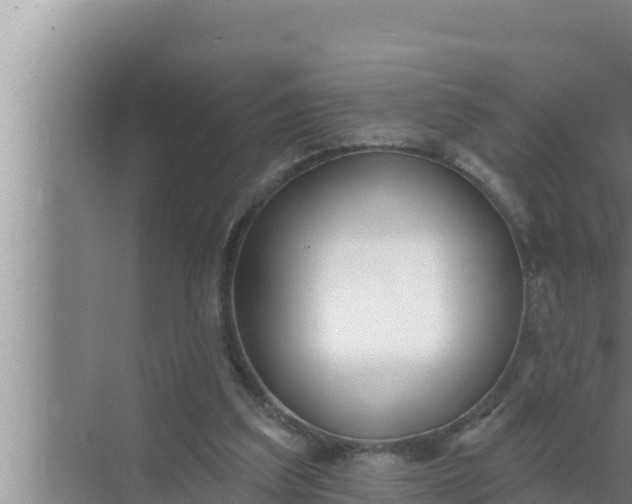 X0000072490203200607290048