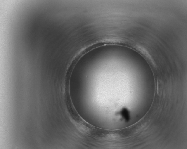 X0000072490204200607290048