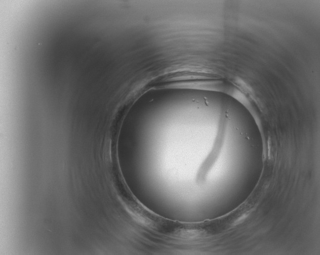 X0000072490205200607290048