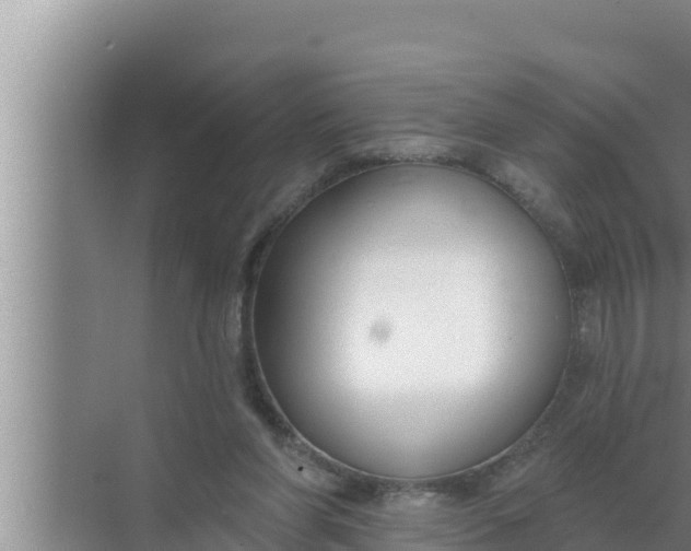 X0000072490206200607290048