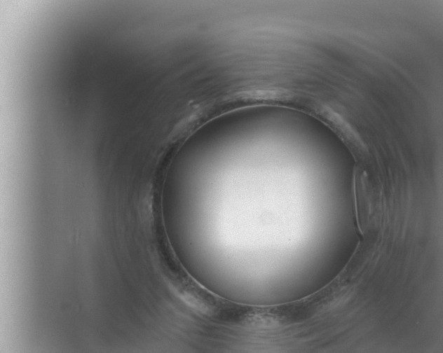 X0000072490207200607290048