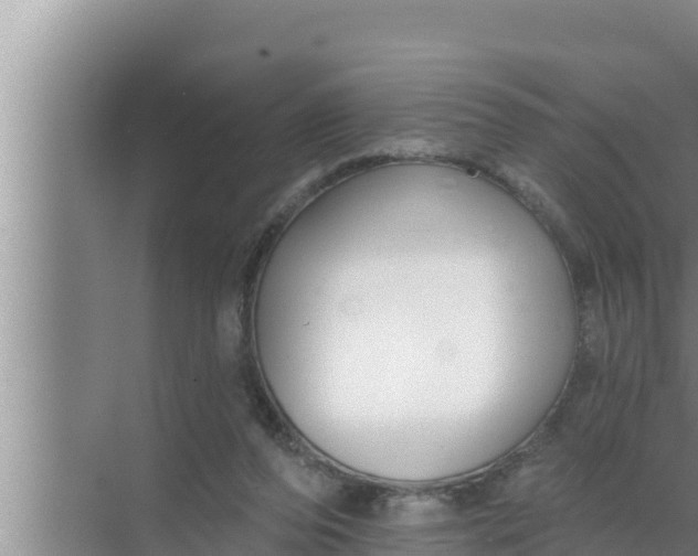 X0000072490208200607290048