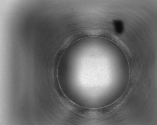 X0000072490209200607290048