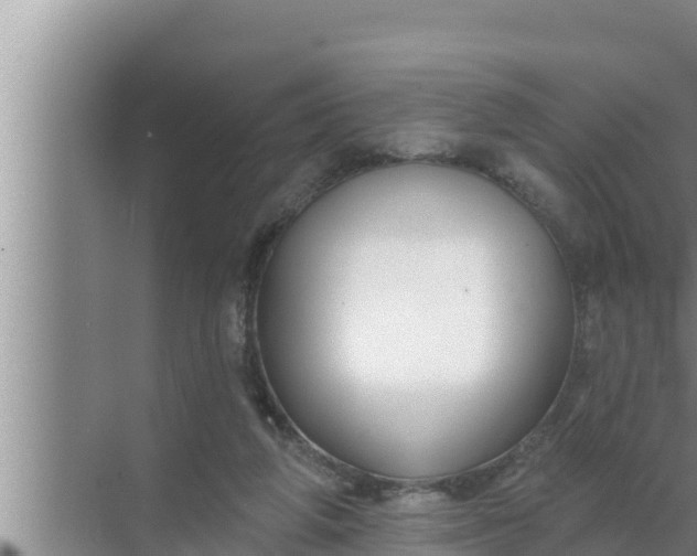 X0000072490210200607290048