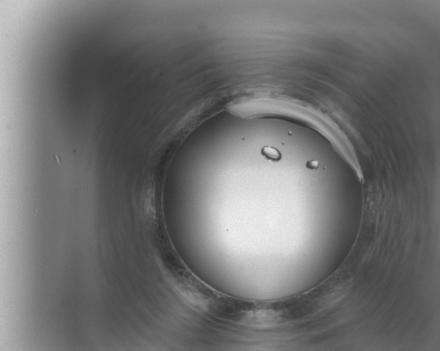 X0000072490212200607290048