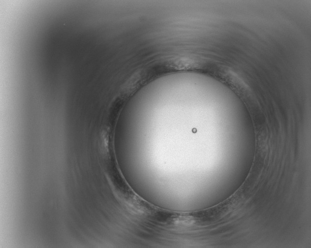 X0000072490214200607290048