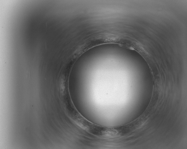 X0000072490215200607290048