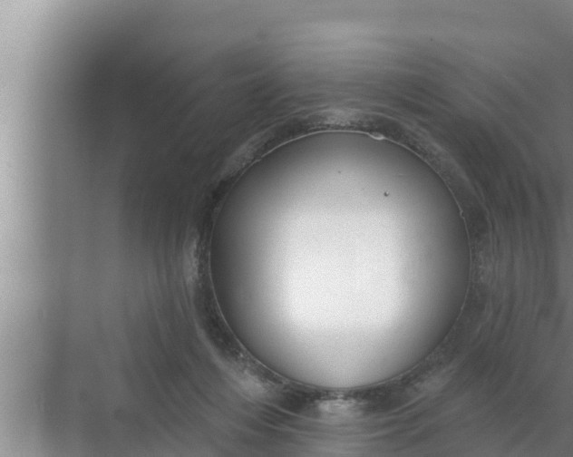 X0000072490216200607290048