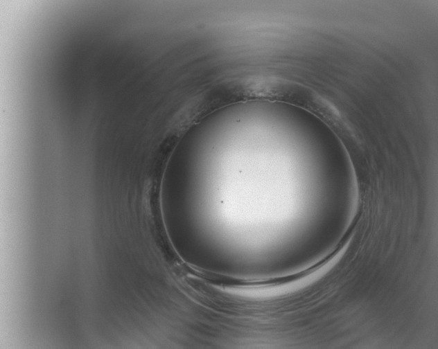 X0000072490217200607290048