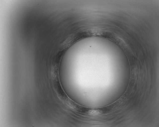 X0000072490218200607290048