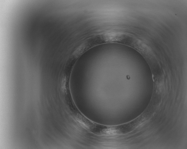 X0000072490219200607290048