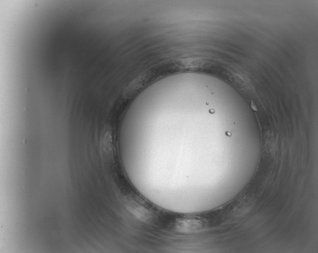 X0000072490220200607290048