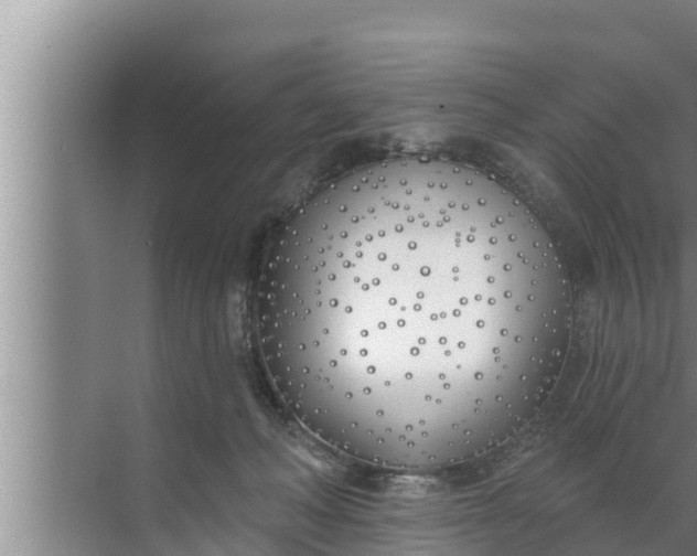 X0000072490222200607290048