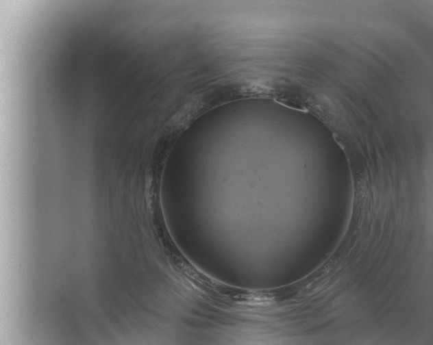 X0000072490223200607290048