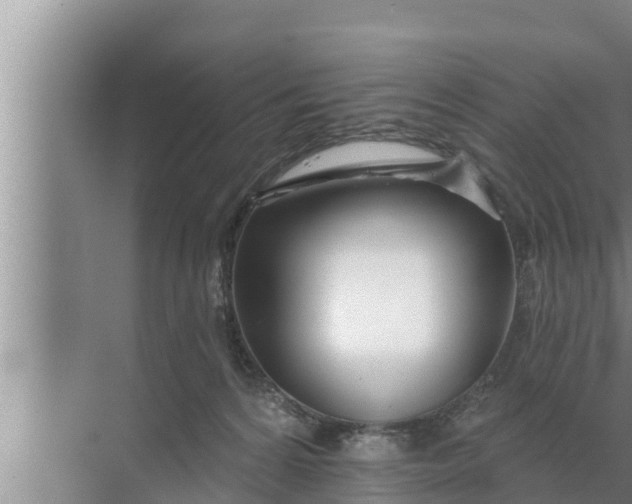 X0000072490224200607290048