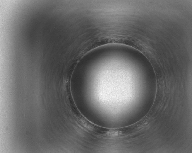 X0000072490225200607290048