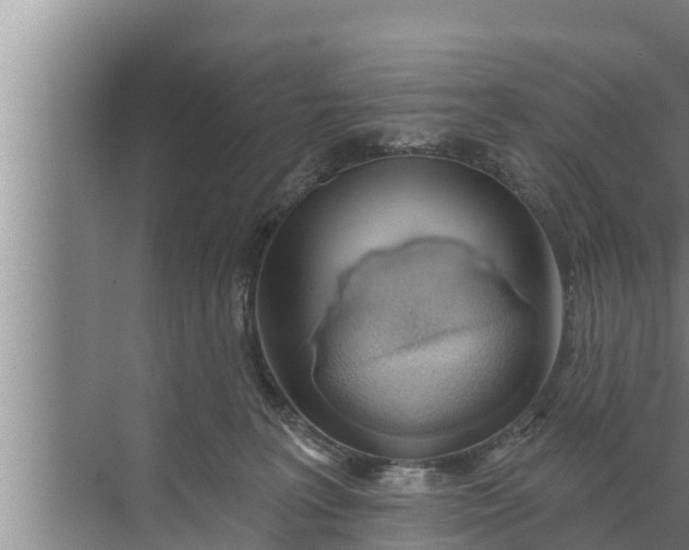 X0000072490227200607290048