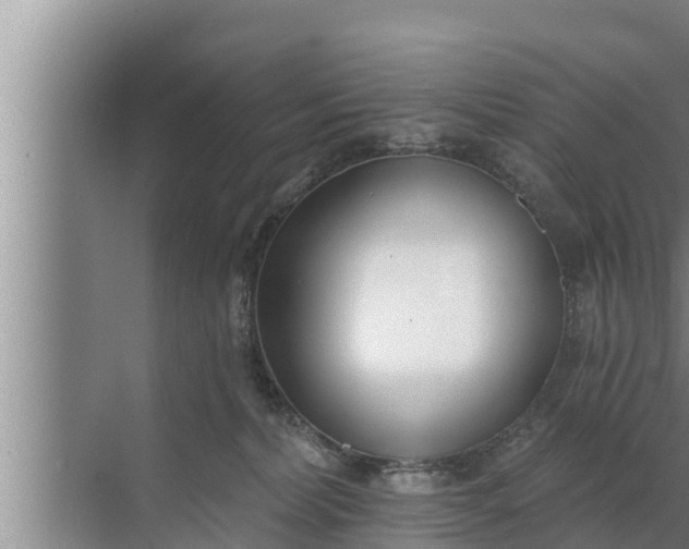 X0000072490228200607290048