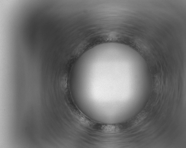 X0000072490230200607290048