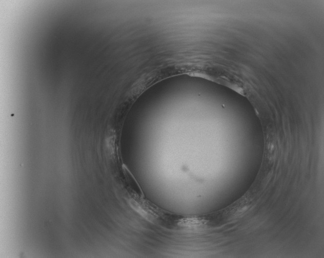 X0000072490231200607290048