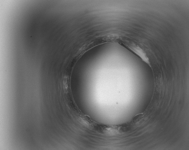 X0000072490232200607290048