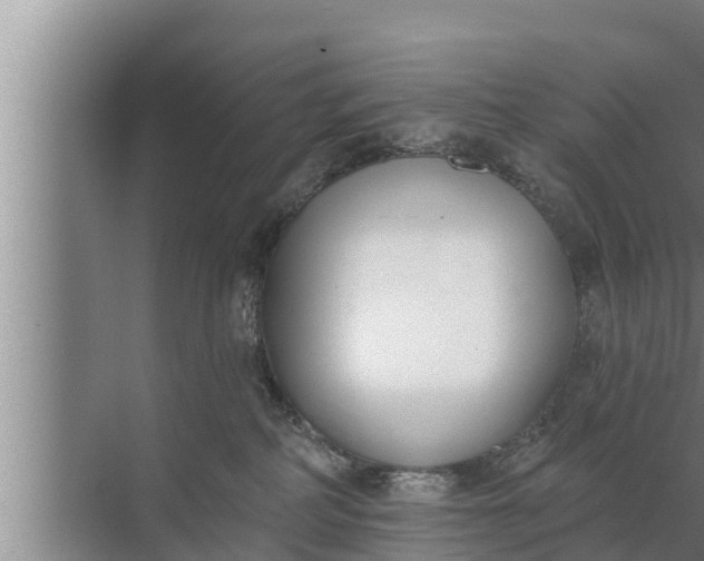 X0000072490234200607290048