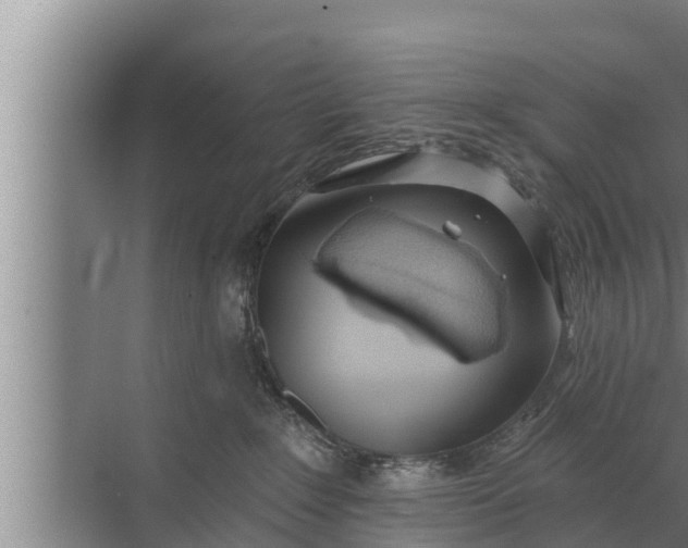 X0000072490235200607290048