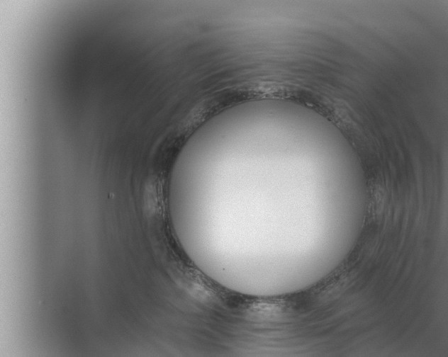 X0000072490236200607290048