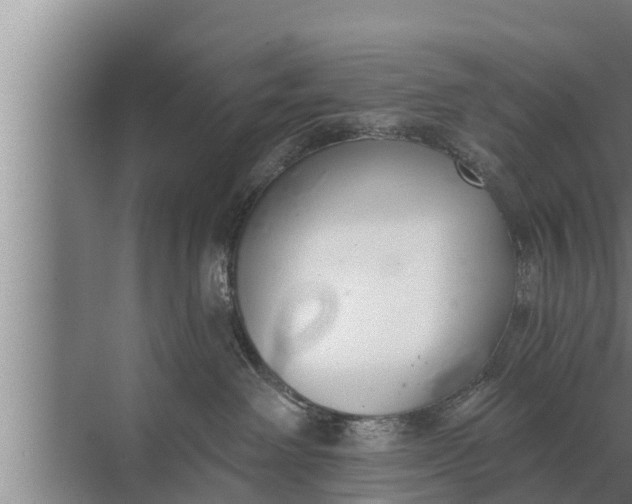 X0000072490238200607290048