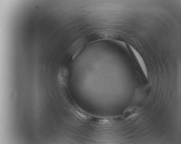 X0000072490239200607290048