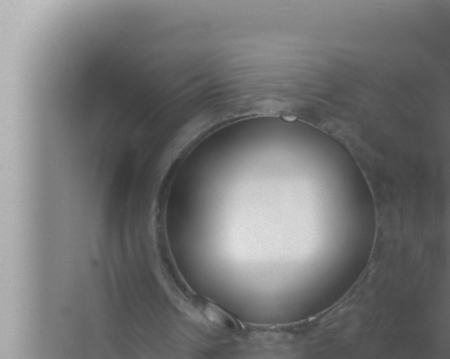 X0000072490242200607290047