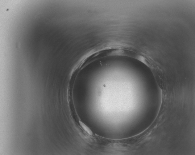 X0000072490244200607290047