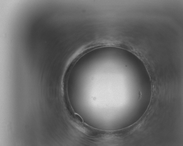 X0000072490246200607290047