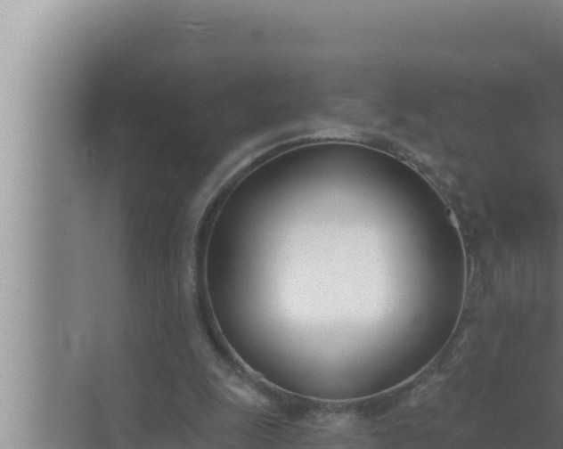 X0000072490247200607290047