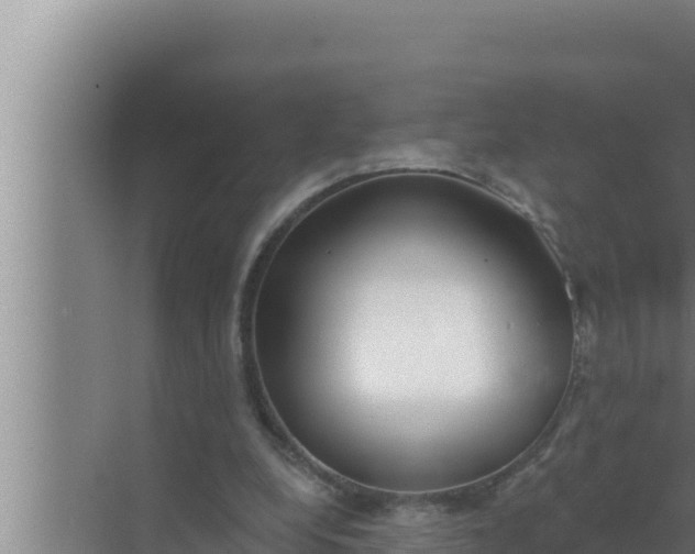 X0000072490248200607290047