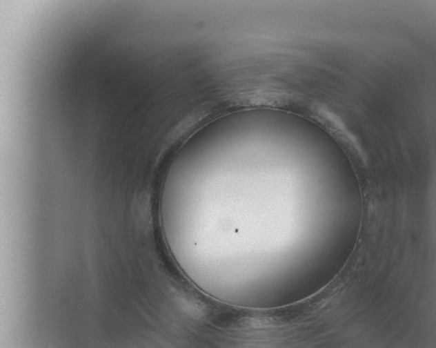 X0000072490250200607290047