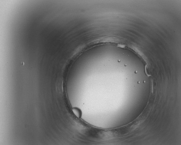 X0000072490253200607290047