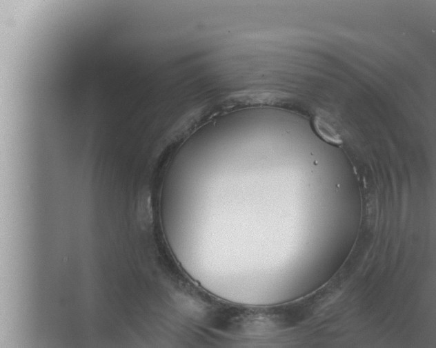 X0000072490254200607290047