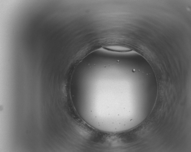 X0000072490258200607290047