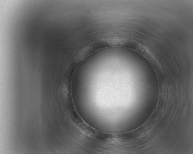 X0000072490259200607290047