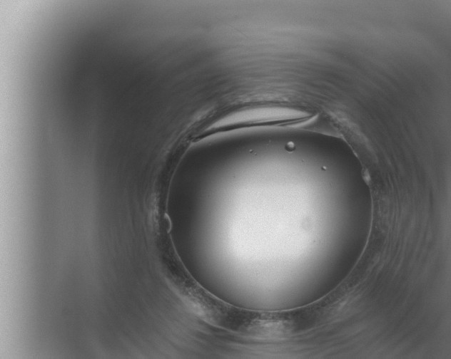 X0000072490260200607290047