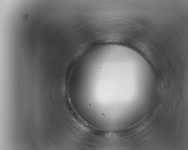 X0000072490261200607290047