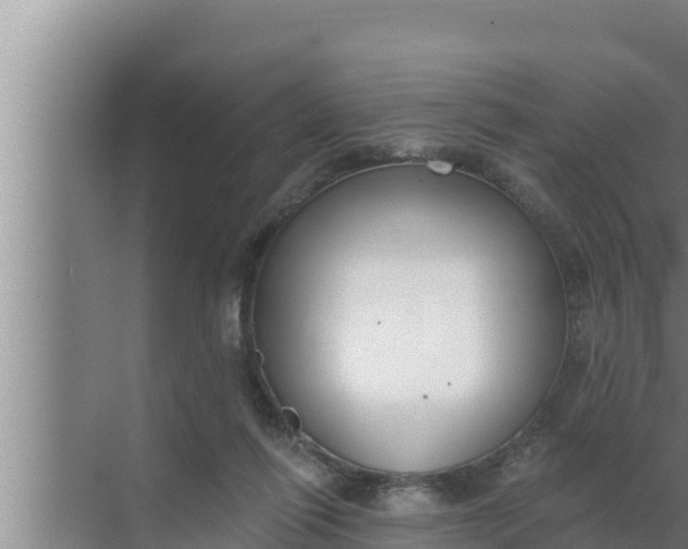 X0000072490262200607290047