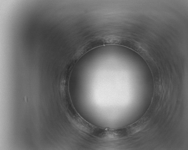 X0000072490263200607290047